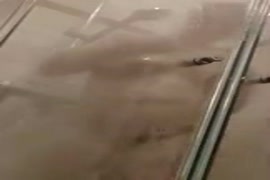 Husband and wife having a shower together.